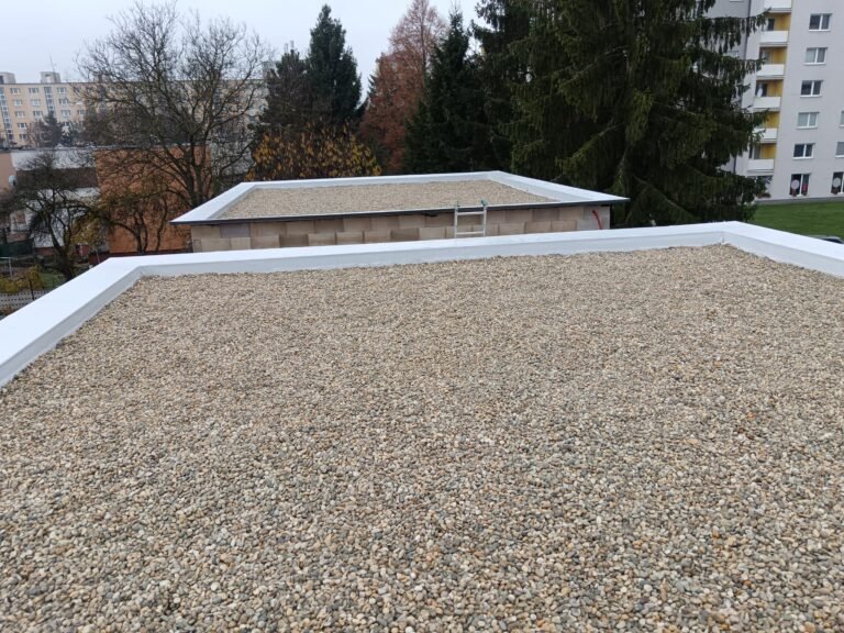 WhatsApp Image 2026-03-22 at 22.13