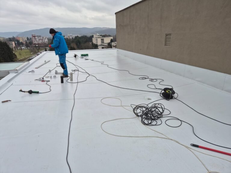 WtsApp Image 2026-03-22 at 22.42.14